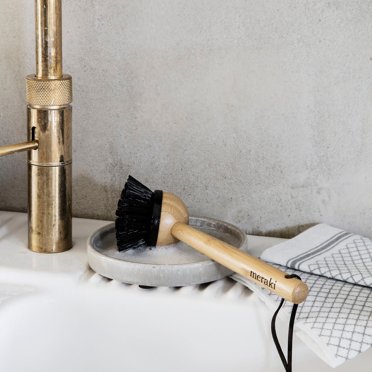 Dish Brush